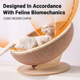Cat Scratcher Bed Toy Cat Scratcher Bed Kitten Scratching Pad Pet Furniture Cat - Rear View