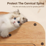 2 in 1 Cat Bed Cat Scratcher Cat House Kitten Sleeping Bed Pet Furniture Cat - Top-Down View