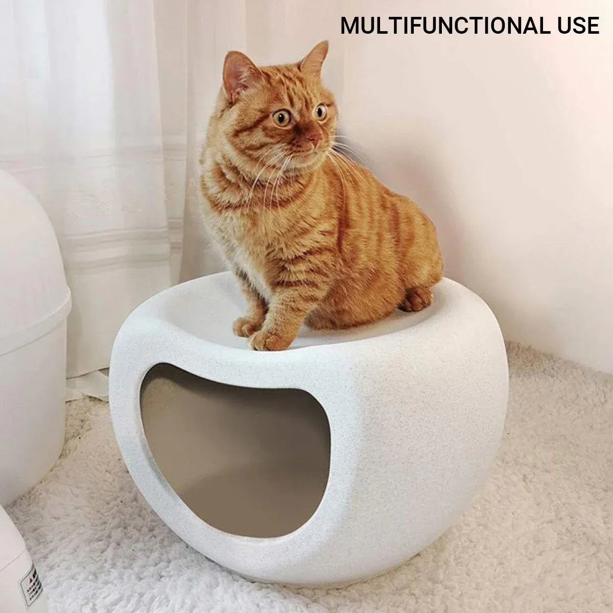 Plastic Pet Nest for Cats Small Dogs Waterproof Detachable Easy to Clean NonSlip