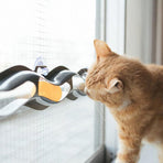 Interactive Cat Track Ball Toy with Window Suction Cup for Indoor Play and Exercise