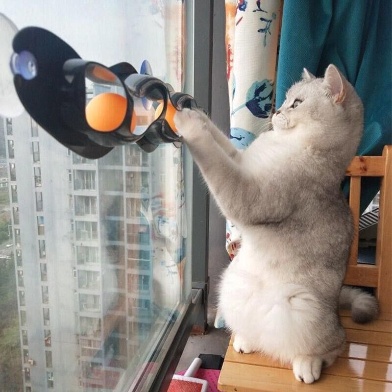 Interactive Cat Track Ball Toy with Window Suction Cup for Indoor Play and Exercise