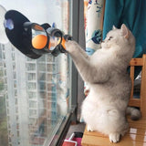 Interactive Cat Track Ball Toy with Window Suction Cup for Indoor Play and Exercise