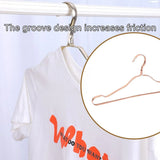 10PCS Metal Clothing Hangers Anti-slip Aluminium Alloy Drying Rack Coat Hanger - Champagne Gold - Rear View