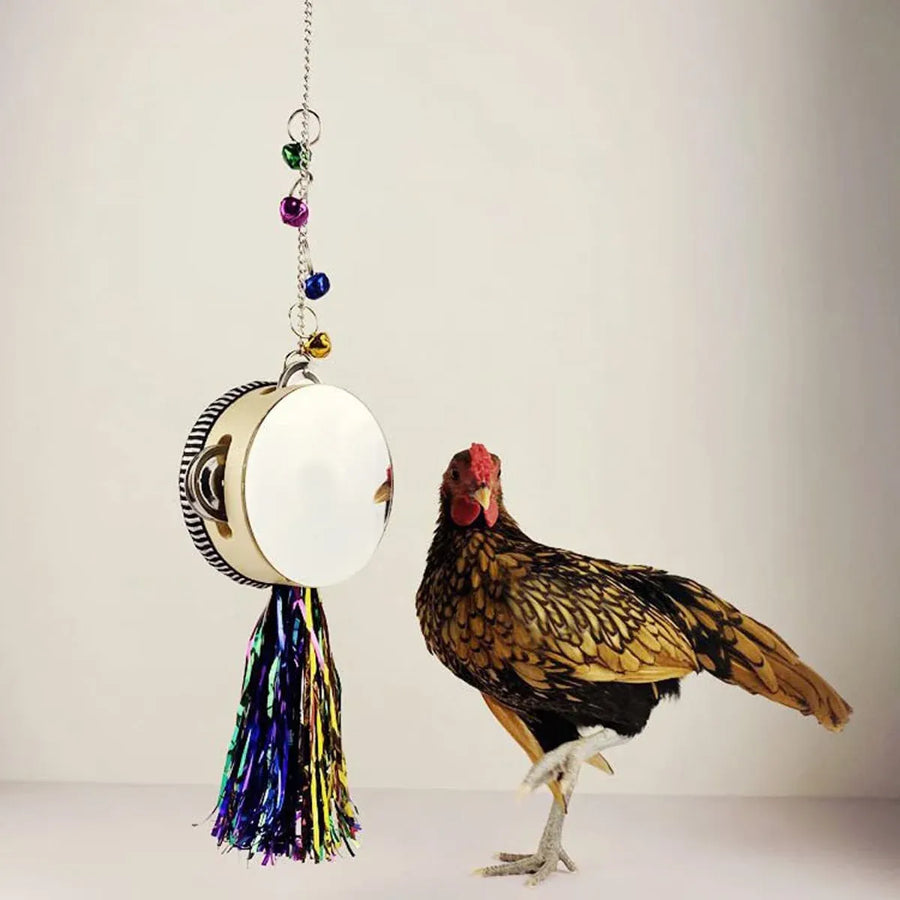 Chicken Mirror Toy Double Sided Drum Design Pet Poultry Pecking Toy for Hen Coop