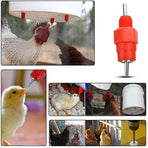 10 PCS Automatic Nipple Water Valves for Poultry and Duck Feeding