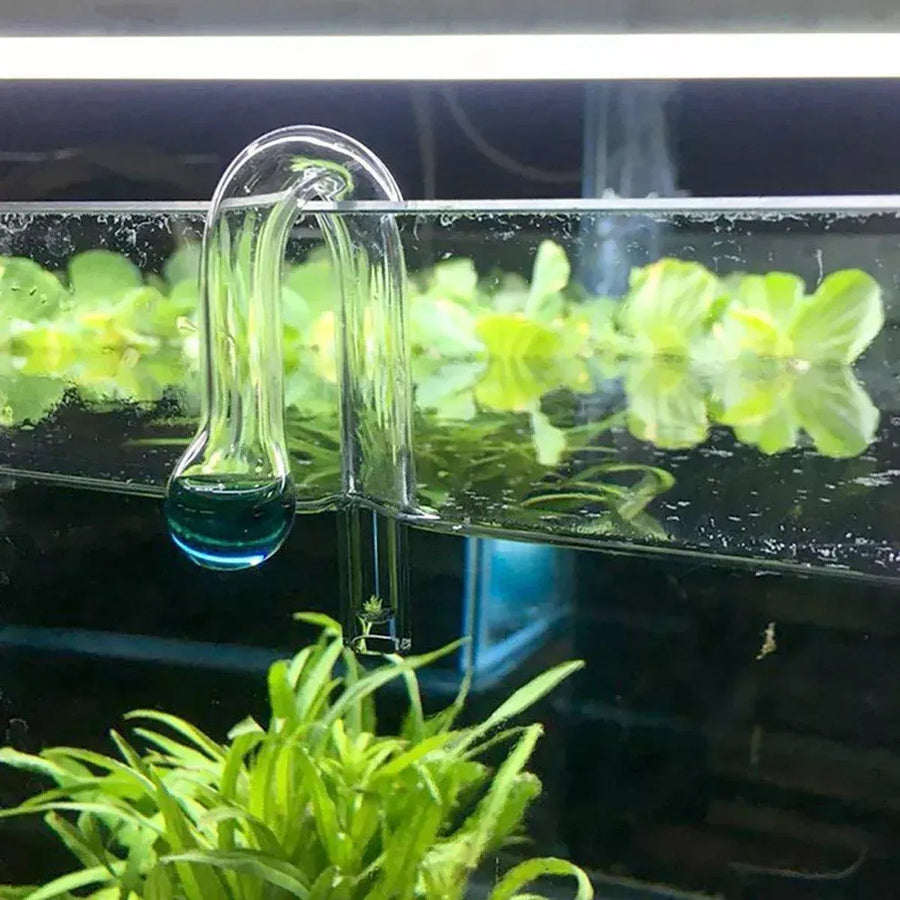 Aquatic CO2 Drop Checker Glass Aquarium Monitor Kit Accurate Fish Tank Tester - Drop shape