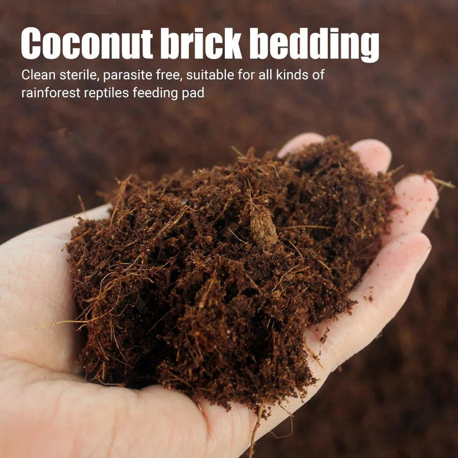 Natural Coconut Fibre Reptile Bedding Brick 650g Substrate for Tortoise Snake Spider