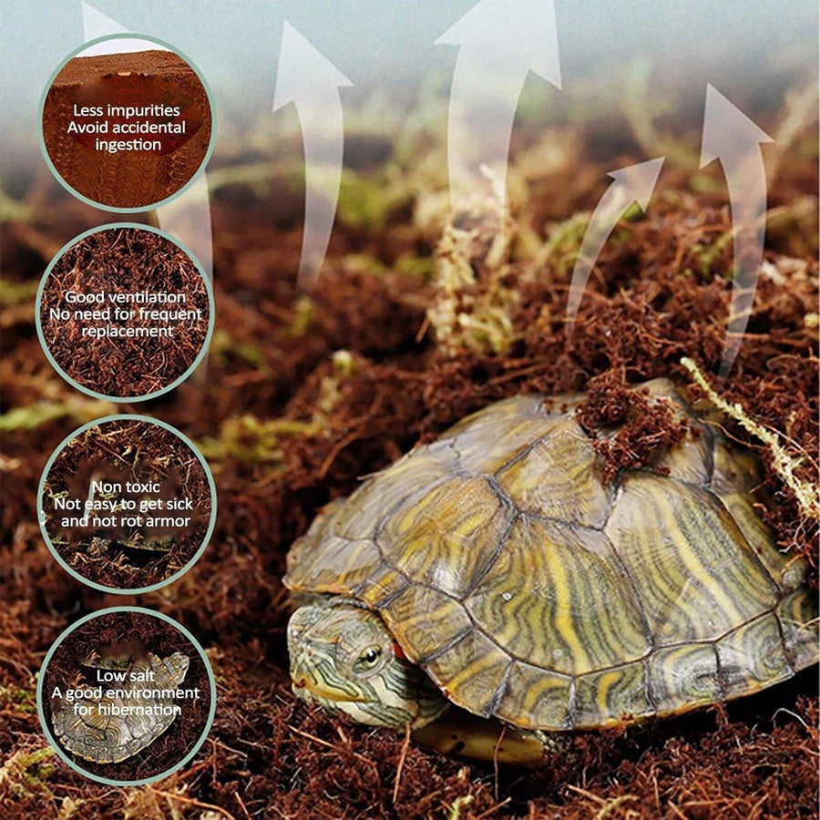 Natural Coconut Fibre Reptile Bedding Brick 650g Substrate for Tortoise Snake Spider