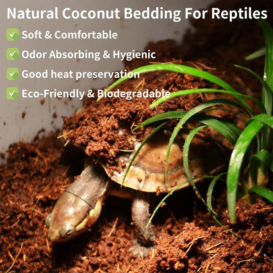 Natural Coconut Fibre Reptile Bedding Brick 650g Substrate for Tortoise Snake Spider