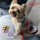 Adjustable Pet Harness Lead for Car Travel with Clip Attachment Nylon Restraint Strap - Black