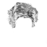 Grandmother Wig Grey Silver Curls Grandma Granny Old Lady Woman Costume Party - Front View