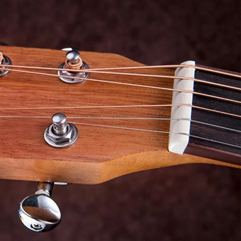 Bone Acoustic Saddle Holder Display Nut Guitar Bridge and Strings End Rack