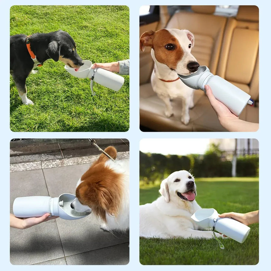 Dog Water Drinking Device for Walk Basic Portable Foldable Outdoor Travel Cup
