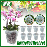 10xClear Plastic Orchid Pots with Holes for Phalaenopsis Root Aeration