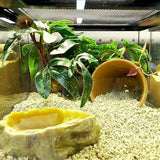 Artificial Plants Green Simulation Foliage for Pet Habitat Decoration Ornament - 45-Degree Angle