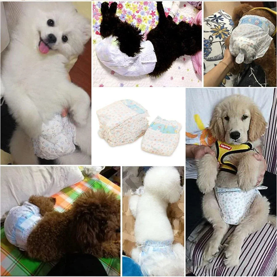 Dog Physiological Pants Pet Diaper Underwear for Hygiene and Incontinence Management - Male - L