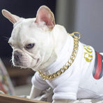 Dog Chain Collar Heavy Duty Choker Double Pet Slip Check Twist Link Chrome Chain Silver - 55CM