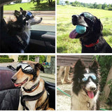 Fashion Pet Dog Doggles Goggles Uv Sunglasses Sun Glasses Eye Wear Protection - Rear View