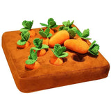 Carrot Plush Dog Toy Foraging Interactive Puzzle Mat for Small Puppies 35x35cm - Front View