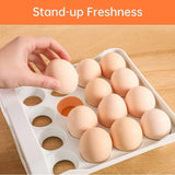 Plastic Double-Layer Egg Storage Box Food Grade Refrigerator Drawer Organizer - Top-Down View