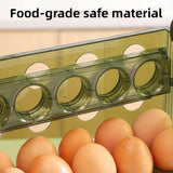 Refrigerator Egg Organizer Side Door Storage Tray Egg Carton Holder Kitchen Box - 45-Degree Angle