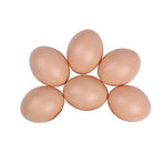Plastic Painting Eggs DIY Toy Fake Eggs Colourful Drawing Craft Durable Egg - 6PCS