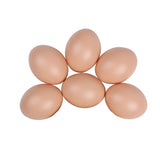 Plastic Painting Eggs DIY Toy Fake Eggs Colourful Drawing Craft Durable Egg - 6PCS - Rear View