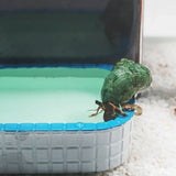 Small Pet Water Food Bowl Non Slip Durable for Birds Small Animals - Rear View