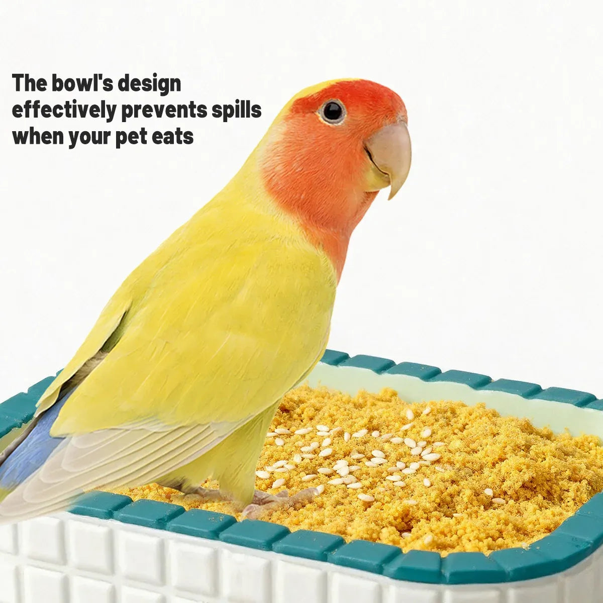 Small Pet Water Food Bowl Non Slip Durable for Birds Small Animals