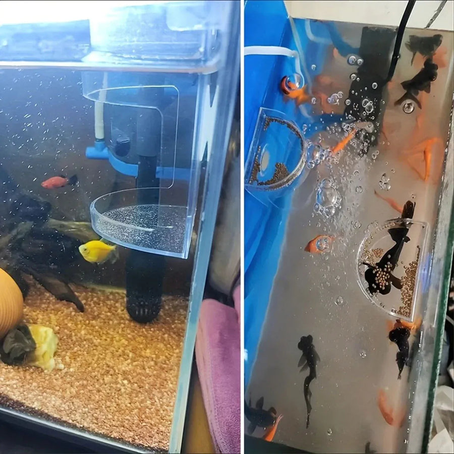 Fish Food Feeding Ring Floating Dispenser Ring Suspension Frame Aquarium Feeder - Square