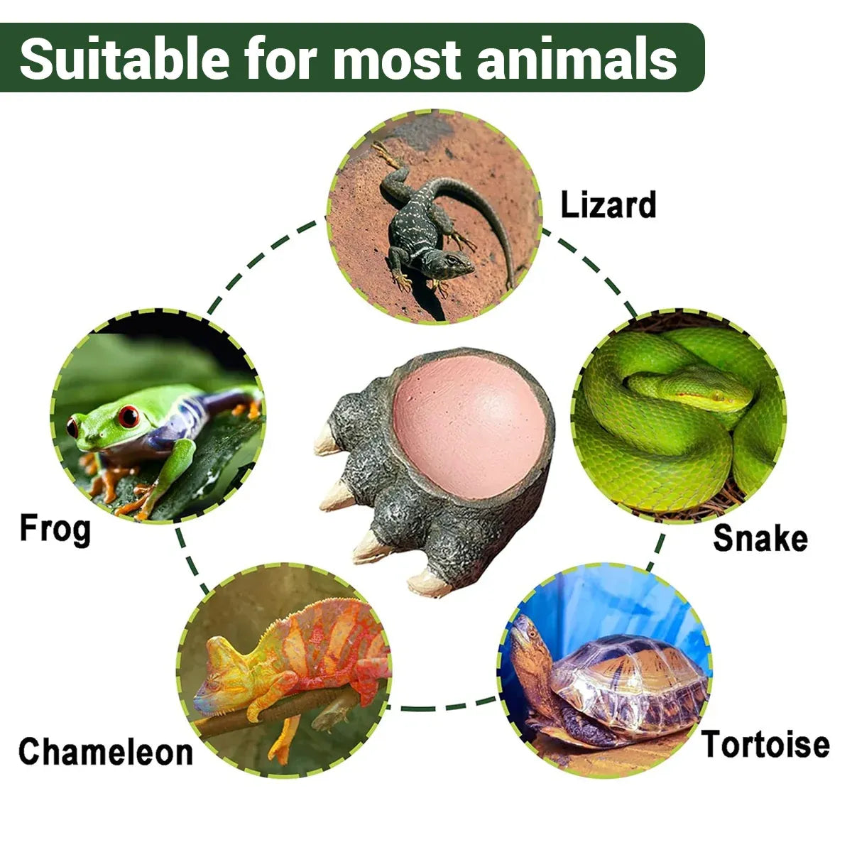 Lizard Claw Shaped Pet Food Water Bowl Durable Resin Non Slip