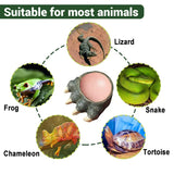 Lizard Claw Shaped Pet Food Water Bowl Durable Resin Non Slip - Top-Down View