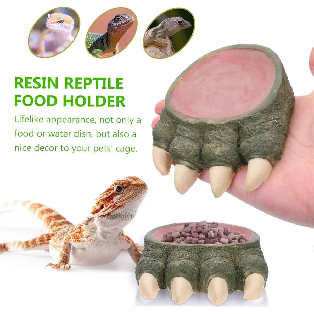 Lizard Claw Shaped Pet Food Water Bowl Durable Resin Non Slip