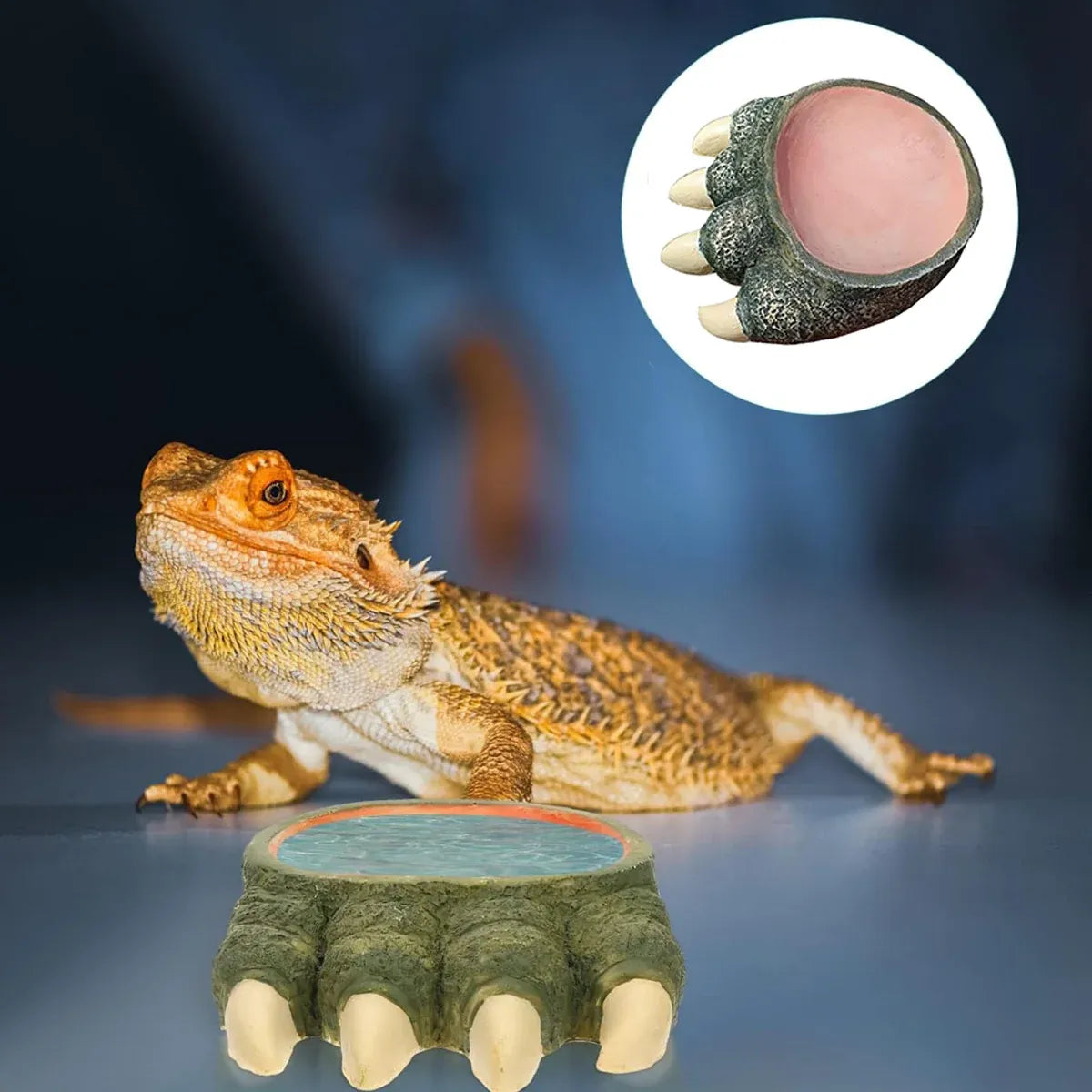 Lizard Claw Shaped Pet Food Water Bowl Durable Resin Non Slip