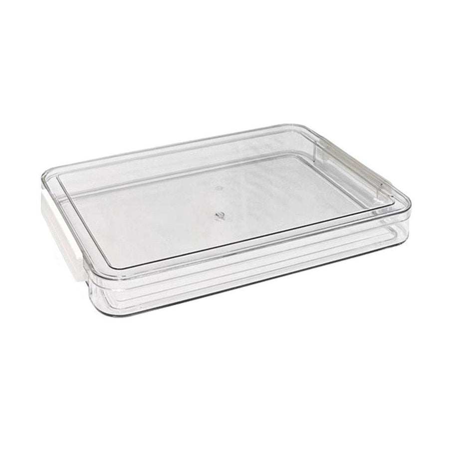 Large Capacity A4 File Storage Box Transparent Plastic Document Organizer Case - Large