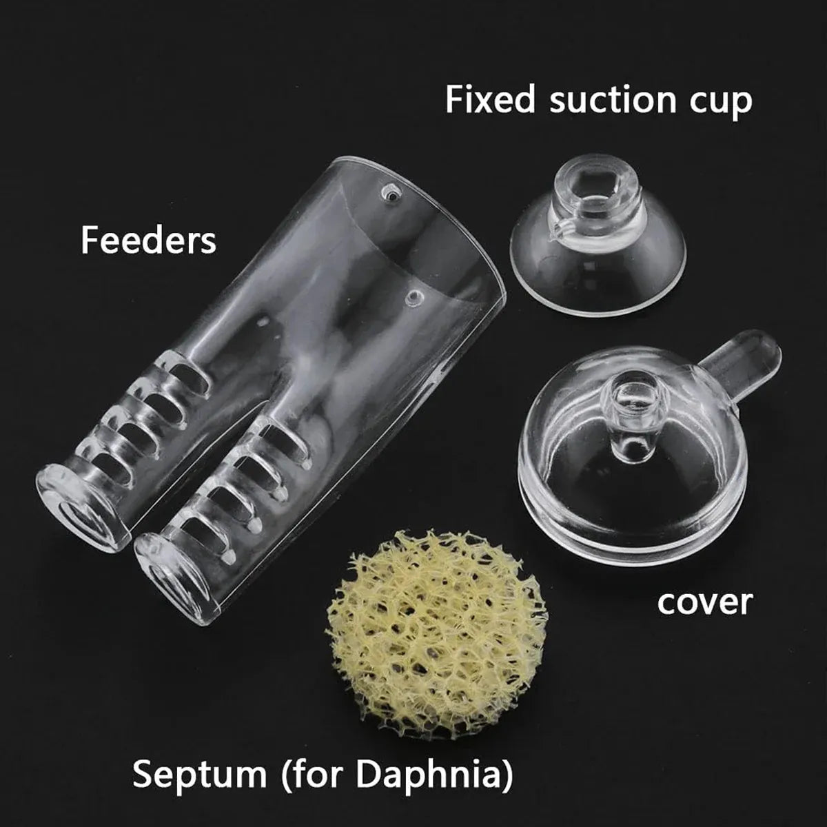 Acrylic Fish Feeder Clear Durable for Aquarium Fish Tank Feeding
