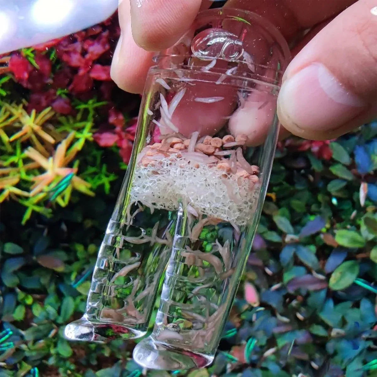 Acrylic Fish Feeder Clear Durable for Aquarium Fish Tank Feeding