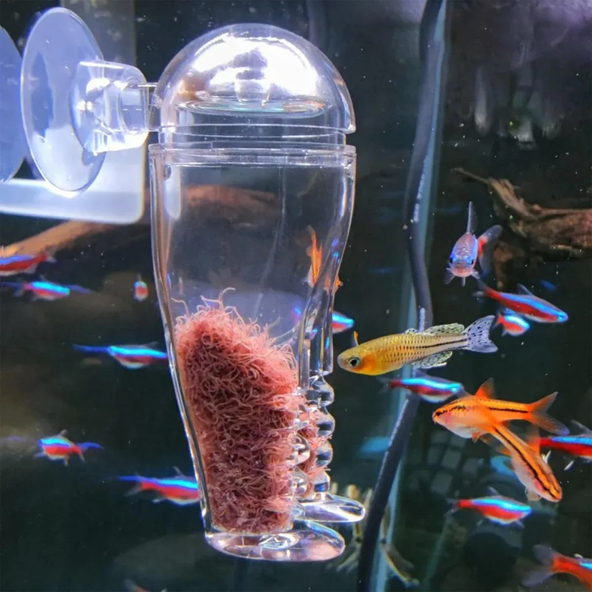 Acrylic Fish Feeder Clear Durable for Aquarium Fish Tank Feeding