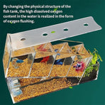 Acrylic Desktop Ecological FishTank Multi-Grid Isolation Self-circulating Water