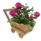 Cartoon Flower Pot Wooden Pot for Plants Cute Car Shape Decorative Planter Pot - Front View