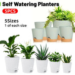 5pcs Self Watering Planter Desktop Plastic Round Planter Auto Suction Lazy Pot - Green
