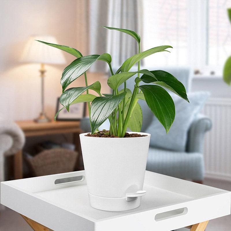 5pcs Self Watering Planter Desktop Plastic Round Planter Auto Suction Lazy Pot - Green