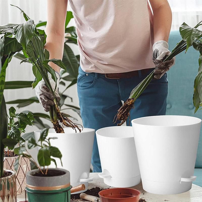 5pcs Self Watering Planter Desktop Plastic Round Planter Auto Suction Lazy Pot - White