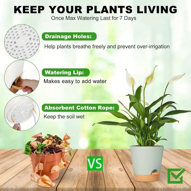 5pcs Self Watering Planter Desktop Plastic Round Planter Auto Suction Lazy Pot - White