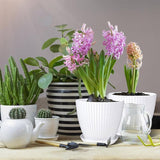 6PCS Simple Plastic Round Plant Pots Vertical Stripes Flower Pot Green Gardening - Green