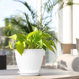 6PCS Simple Plastic Round Plant Pots Vertical Stripes Flower Pot Green Gardening - Green - Extra Image