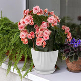 6PCS Simple Plastic Round Plant Pots Vertical Stripes Flower Pot Green Gardening - White - 45-Degree Angle