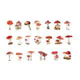 Scrapbooking Flower Stickers Pet Transparent Sticker - A