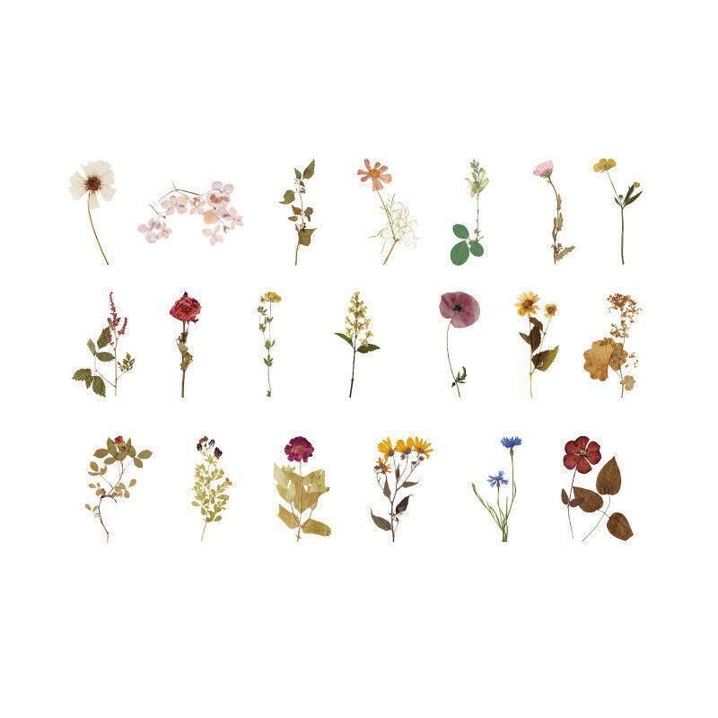 Scrapbooking Flower Stickers Pet Transparent Sticker - F