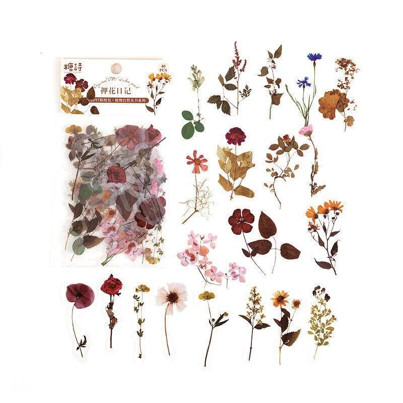 Scrapbooking Flower Stickers Pet Transparent Sticker - F